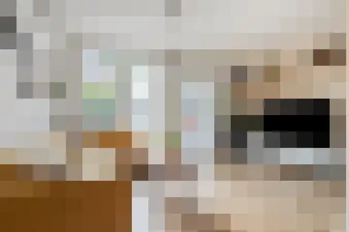 Zonneroosstraat 27 Eindhoven thumbnail 10