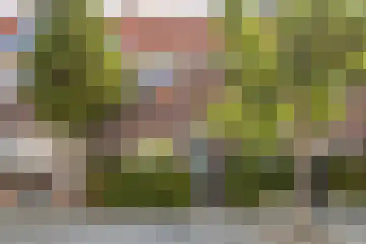 Zonneroosstraat 27 Eindhoven thumbnail 33