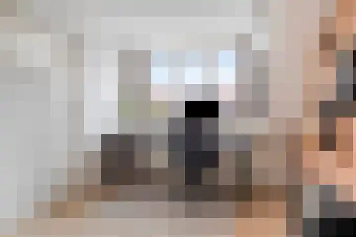 Zonneroosstraat 27 Eindhoven thumbnail 4