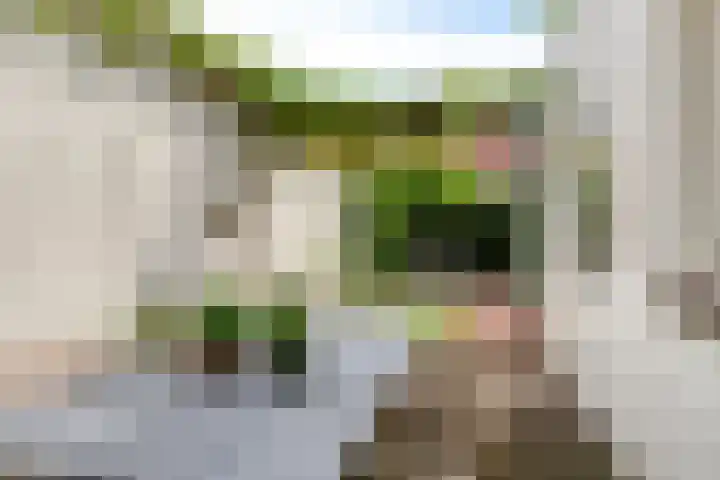 Zonneroosstraat 27 Eindhoven thumbnail 5