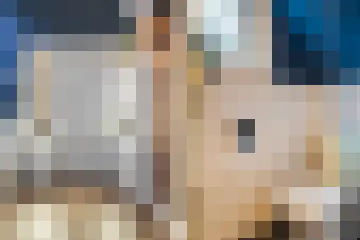 Zonneweg 8 Emmen thumbnail 15