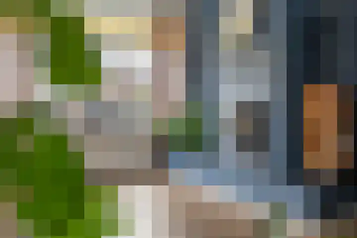 Zonneweg 8 Emmen thumbnail 18