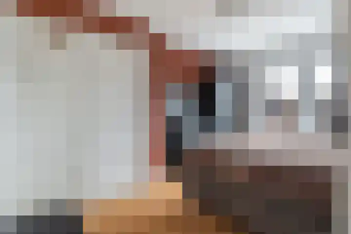 Zonneweg 8 Emmen thumbnail 33