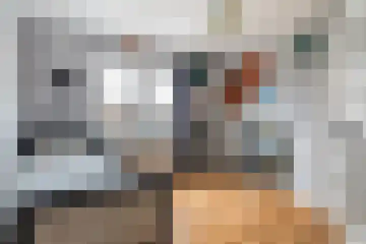 Zonneweg 8 Emmen thumbnail 36