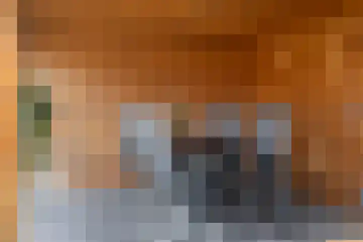 Zonneweg 8 Emmen thumbnail 43