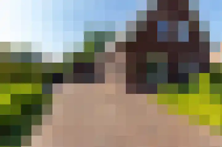 Zonneweide 24 Ossendrecht thumbnail 37