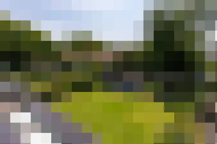 Zonneweide 24 Ossendrecht thumbnail 40