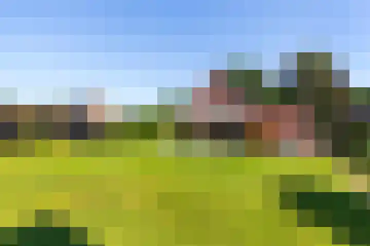 Zonneweide 24 Ossendrecht thumbnail 41