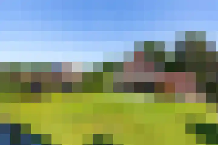 Zonneweide 24 Ossendrecht thumbnail 49