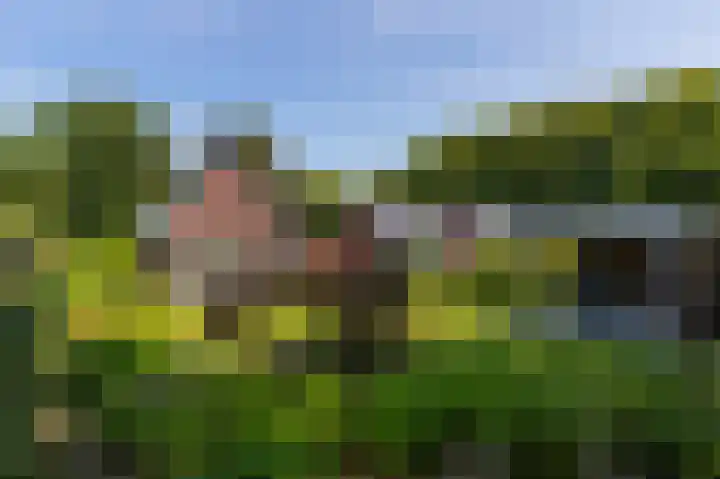 Zonneweide 24 Ossendrecht thumbnail 50