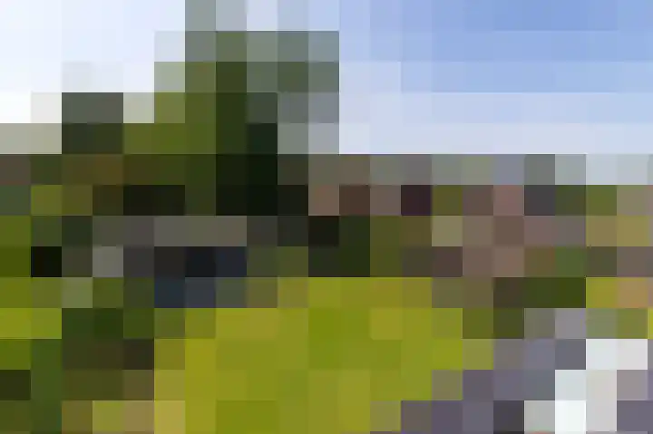 Zonneweide 24 Ossendrecht thumbnail 51