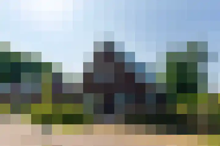 Zonneweide 24 Ossendrecht thumbnail 58