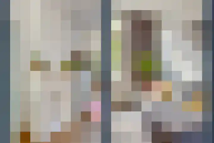 Zonstraat 128 Utrecht thumbnail 15