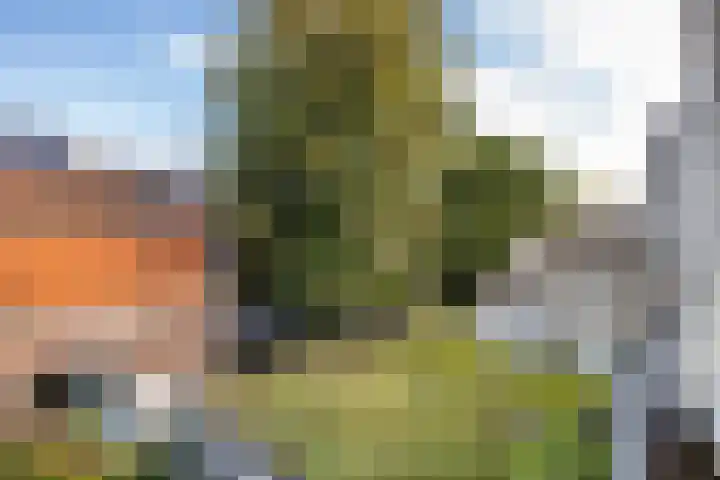 Zonstraat 128 Utrecht thumbnail 30