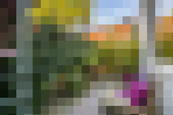 Zonstraat 128 Utrecht thumbnail 42