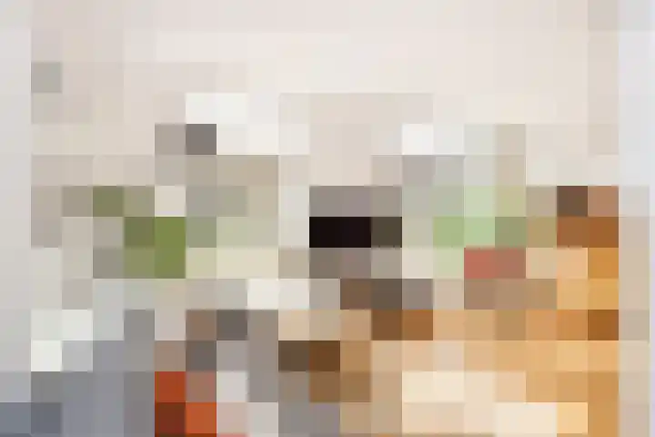 Zonstraat 17 De Meern thumbnail 10