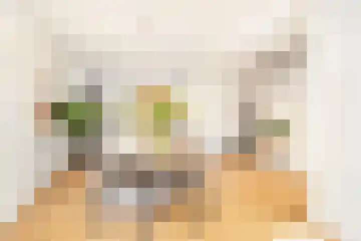 Zonstraat 17 De Meern thumbnail 17