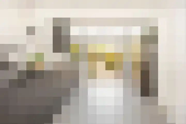 Zonstraat 17 De Meern thumbnail 19