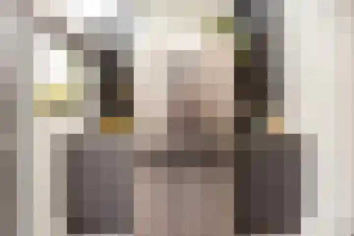 Zonstraat 17 De Meern thumbnail 21