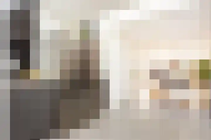 Zonstraat 17 De Meern thumbnail 23