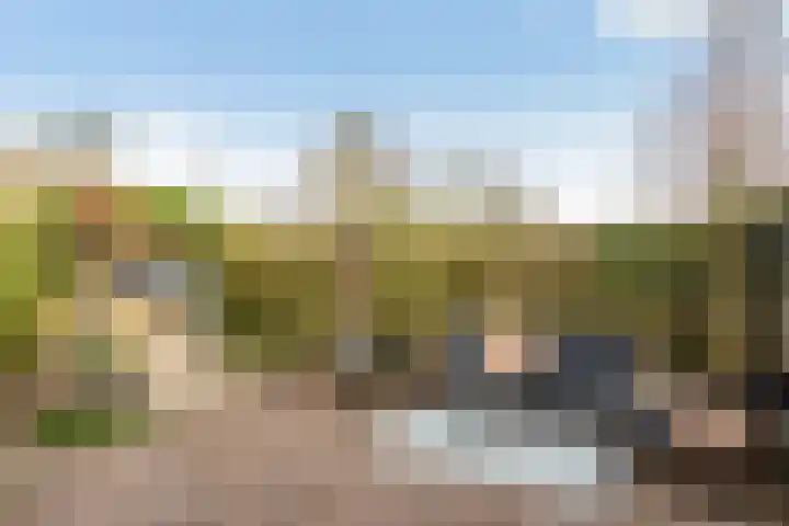 Zonstraat 17 De Meern thumbnail 25