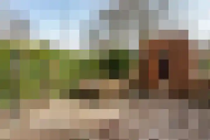 Zonstraat 17 De Meern thumbnail 39