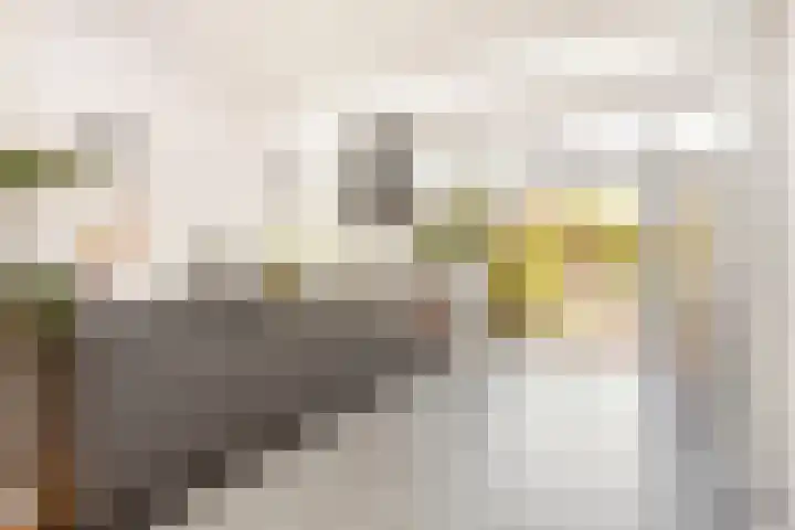 Zonstraat 17 De Meern thumbnail 4