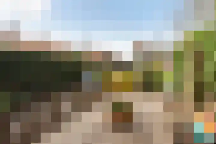 Zonstraat 17 De Meern thumbnail 40