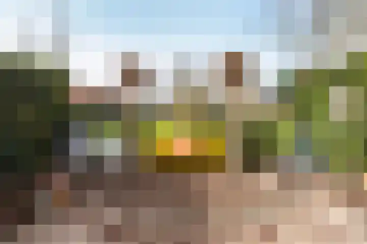 Zonstraat 17 De Meern thumbnail 41