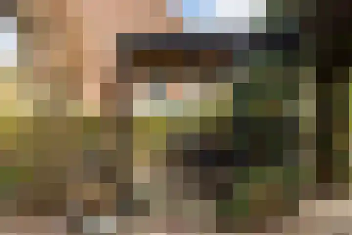 Zonstraat 17 De Meern thumbnail 46