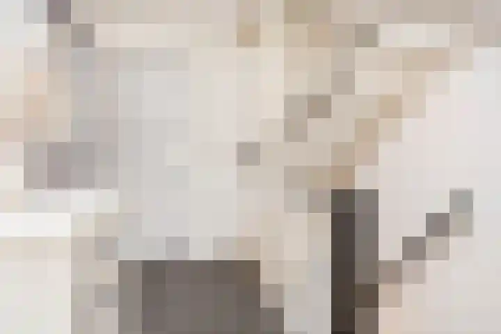 Zonstraat 17 De Meern thumbnail 53