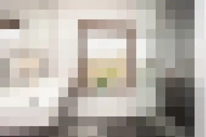 Zonstraat 17 De Meern thumbnail 61