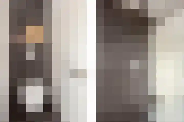 Zonstraat 17 De Meern thumbnail 62