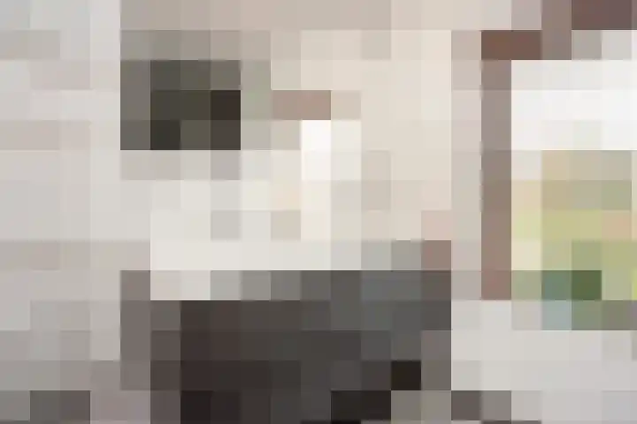 Zonstraat 17 De Meern thumbnail 63