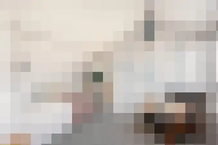 Zonstraat 17 De Meern thumbnail 64