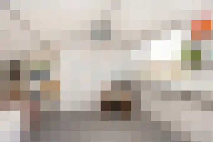 Zonstraat 17 De Meern thumbnail 65