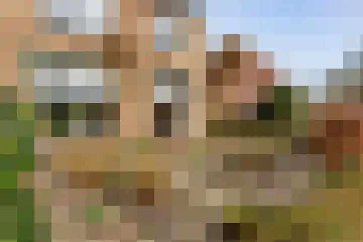 Zonstraat 17 De Meern thumbnail 69