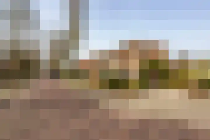 Zonstraat 17 De Meern thumbnail 72