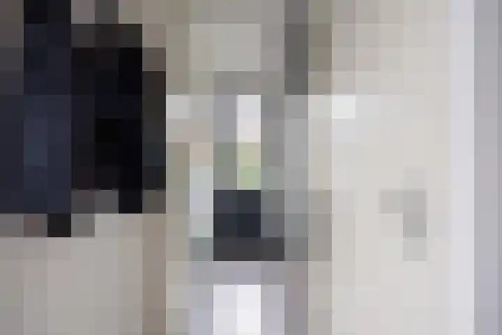 Zonstraat 17 Zuidhorn thumbnail 11