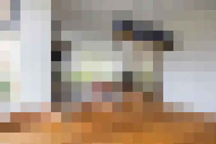 Zonstraat 17 Zuidhorn thumbnail 19