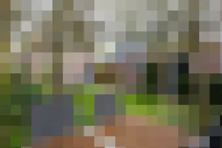 Zonstraat 17 Zuidhorn thumbnail 35