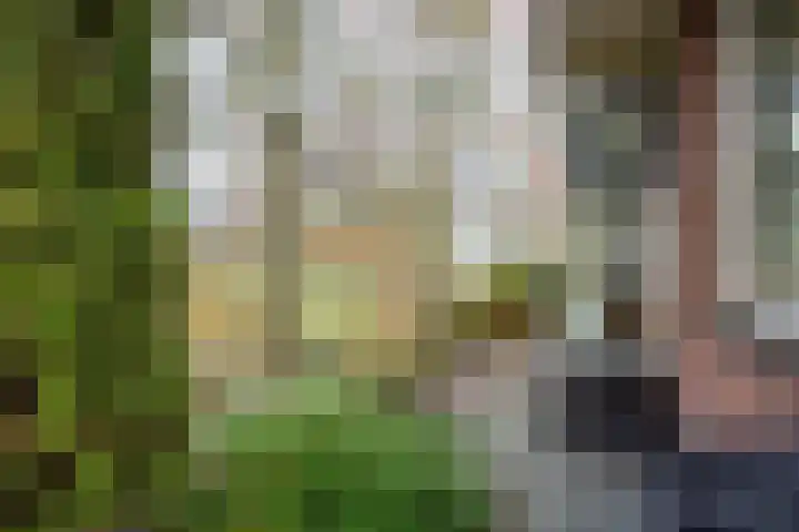 Zonstraat 17 Zuidhorn thumbnail 36