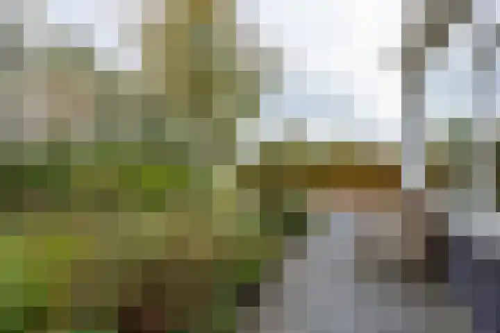 Zonstraat 17 Zuidhorn thumbnail 37