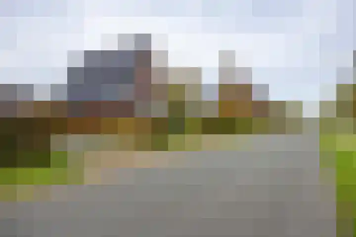 Zonstraat 17 Zuidhorn thumbnail 5