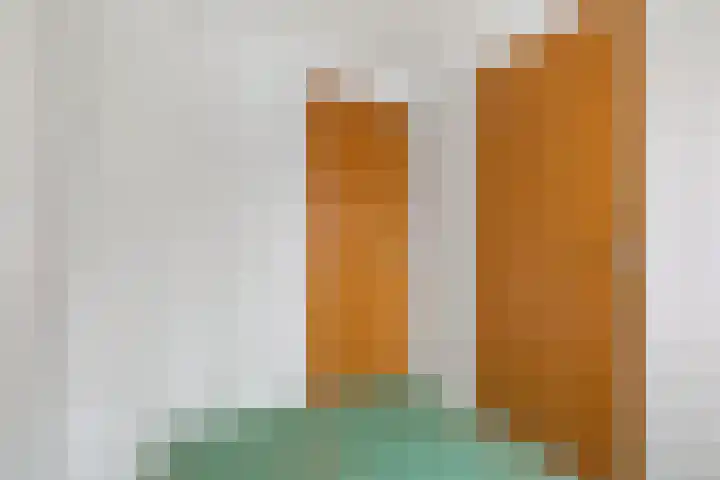 Zonstraat 27 De Meern thumbnail 17