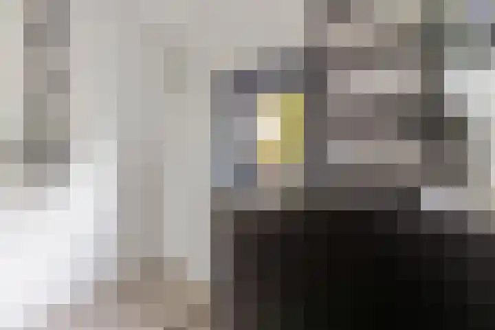 Zonstraat 27 De Meern thumbnail 25