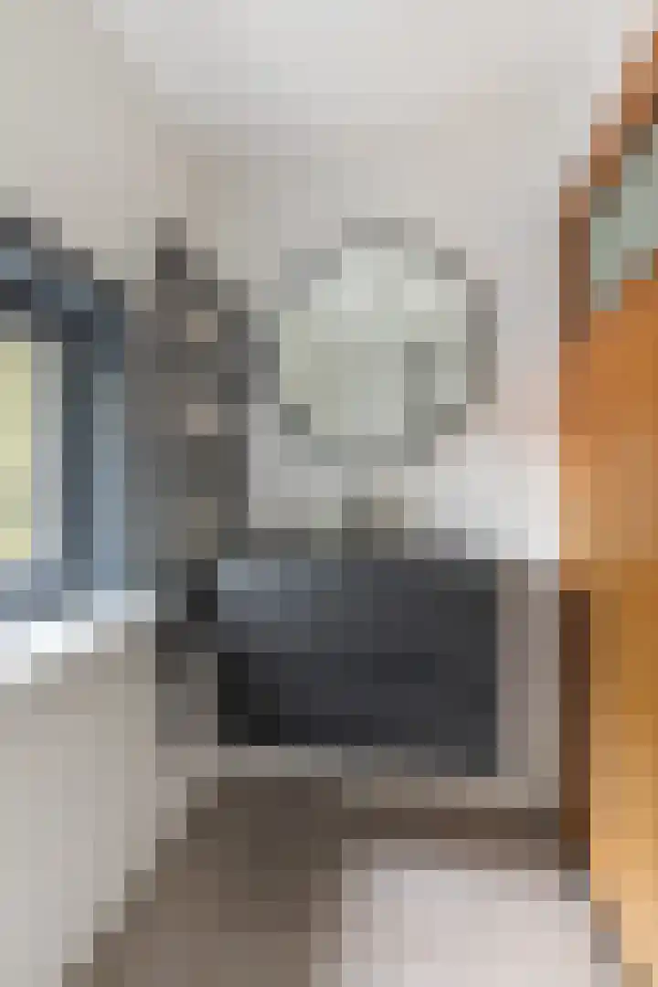 Zonstraat 27 De Meern thumbnail 27