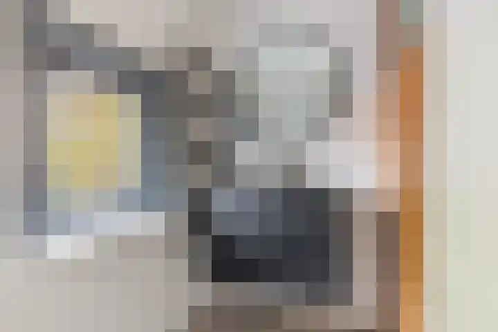 Zonstraat 27 De Meern thumbnail 28