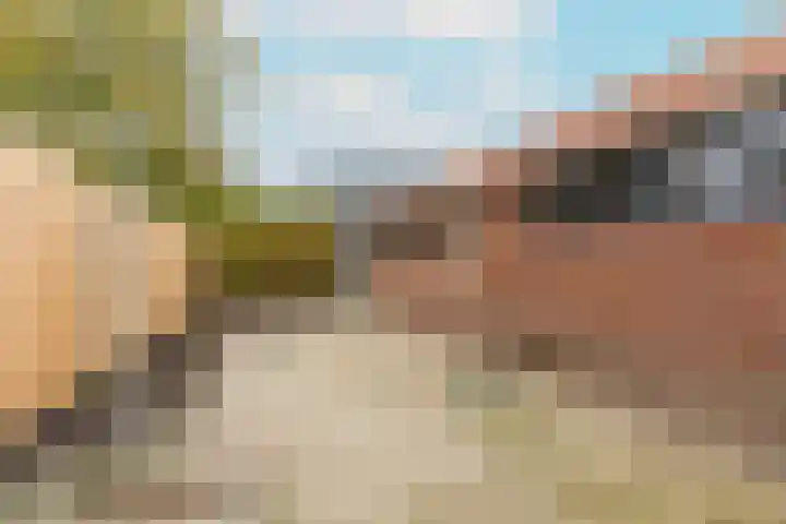 Zonstraat 27 De Meern thumbnail 42