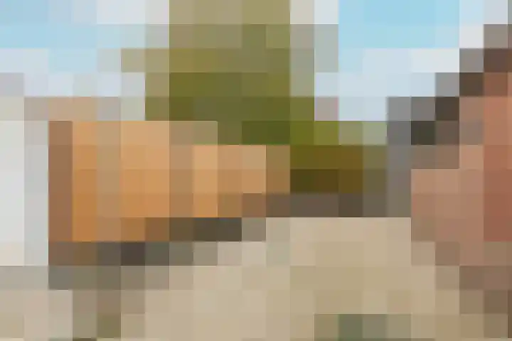 Zonstraat 27 De Meern thumbnail 43